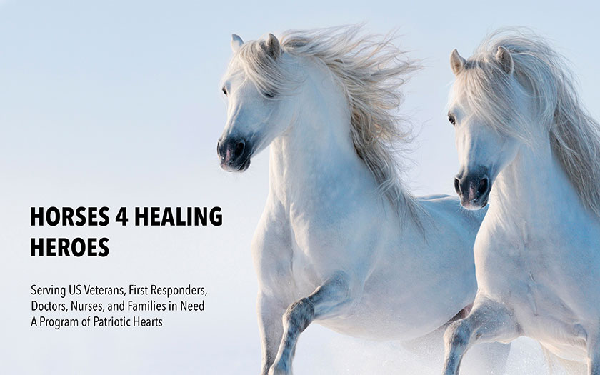 About 4 Horses for Healing